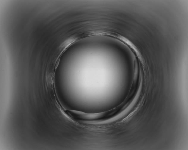 X0000086780809200704201823