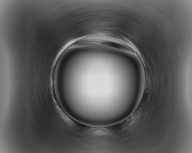 X0000086780811200704201823