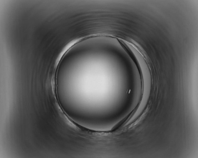 X0000086780812200704201823