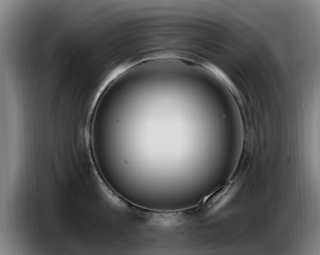 X0000086780813200704201823