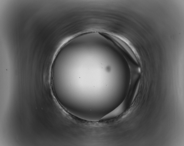 X0000086780815200704201823