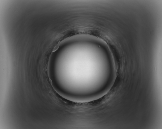 X0000086780817200704201822