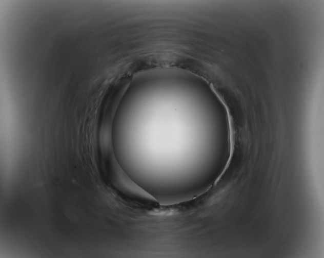 X0000086780818200704201822