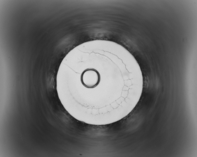 X0000086780820200704201822