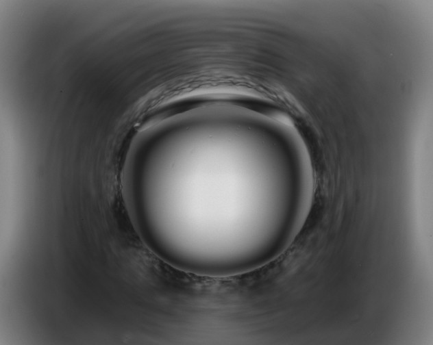 X0000086780821200704201822