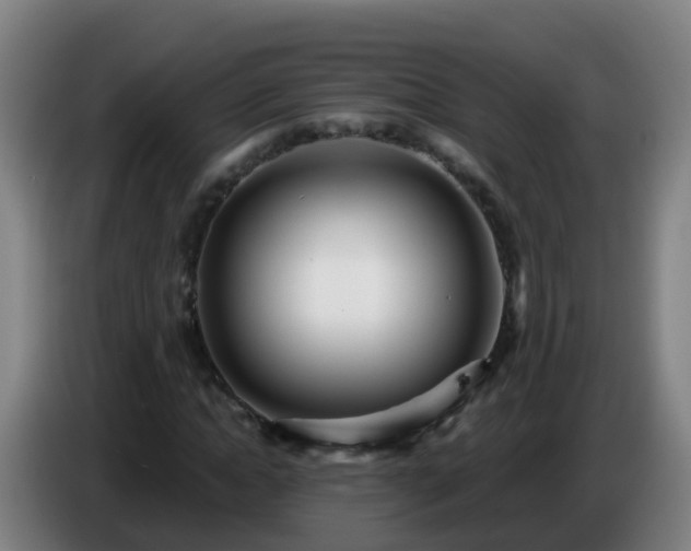 X0000086780822200704201822