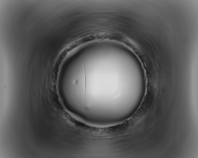 X0000086780823200704201822