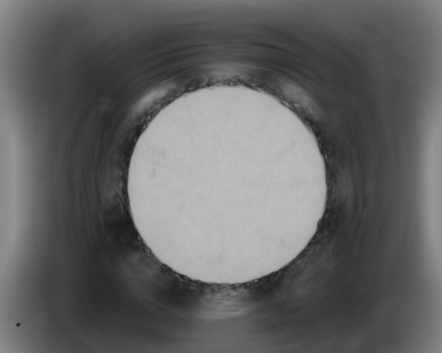 X0000086780824200704201822