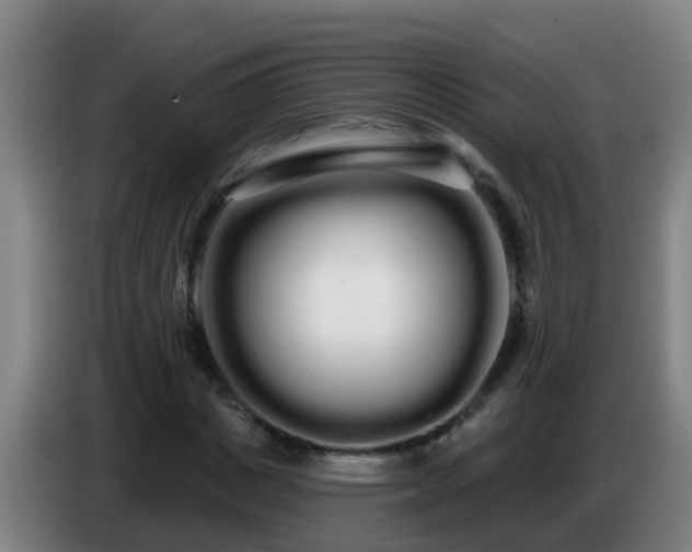 X0000086780825200704201822