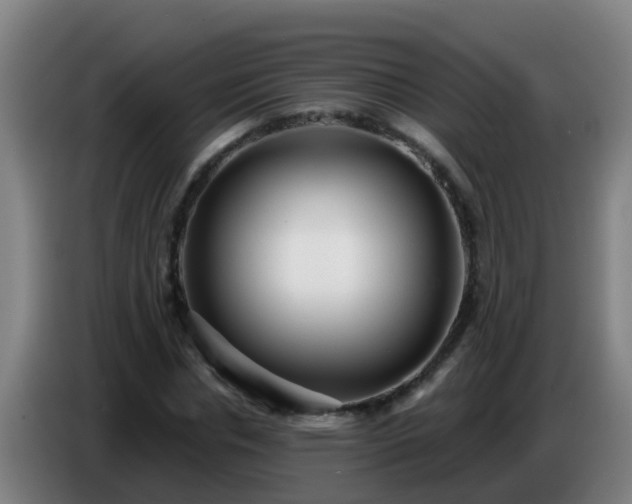 X0000086780826200704201822