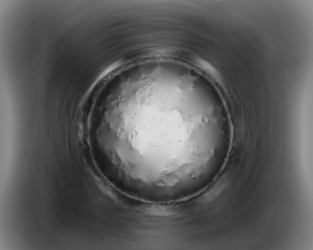 X0000086780827200704201822