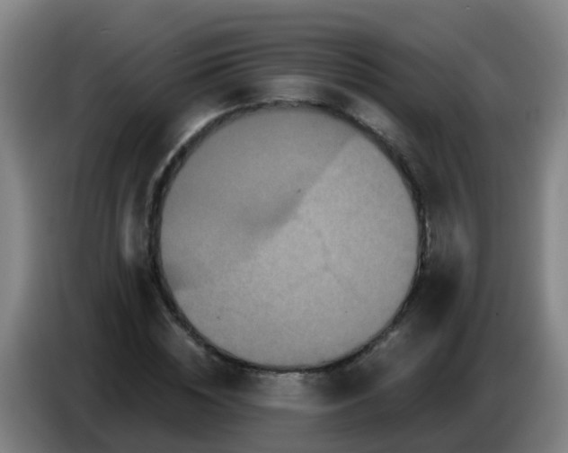 X0000086780828200704201822