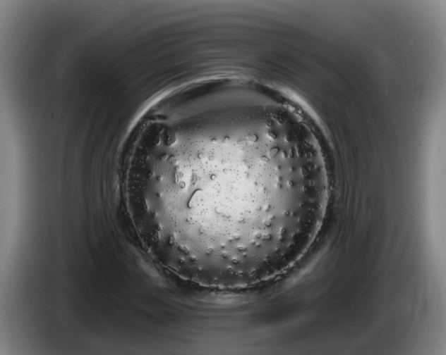 X0000086780829200704201822