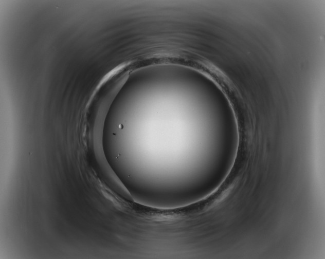 X0000086780830200704201822