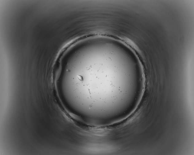 X0000086780831200704201822