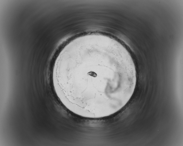 X0000086780832200704201822