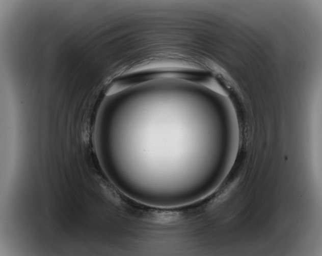 X0000086780833200704201822