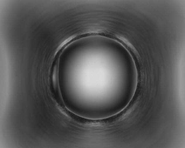 X0000086780834200704201822