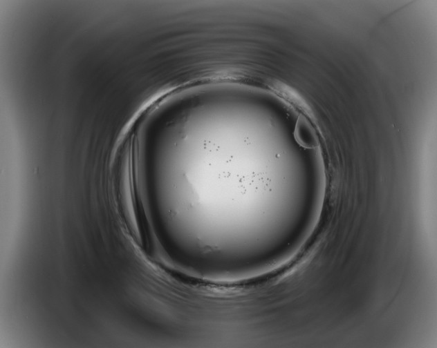 X0000086780835200704201822