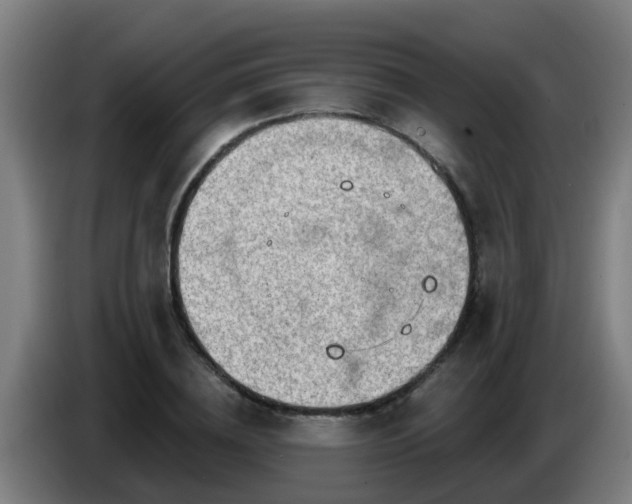 X0000086780836200704201822