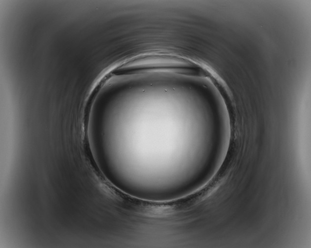 X0000086780837200704201822