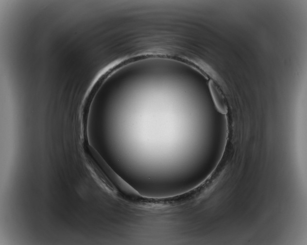 X0000086780838200704201822