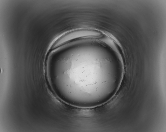 X0000086780839200704201822