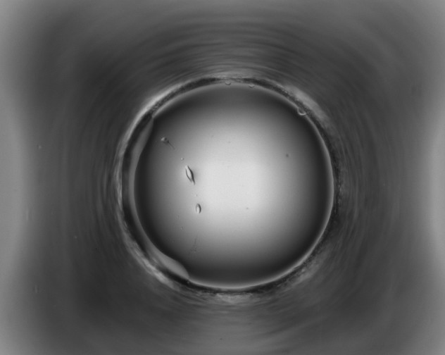 X0000086780840200704201822