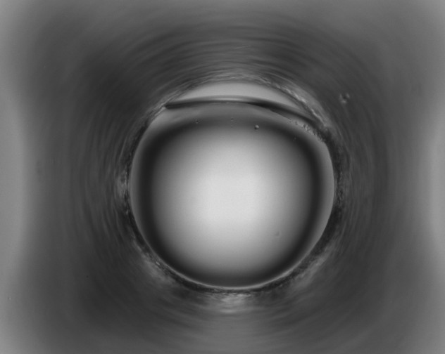 X0000086780841200704201822