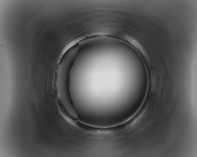 X0000086780842200704201822