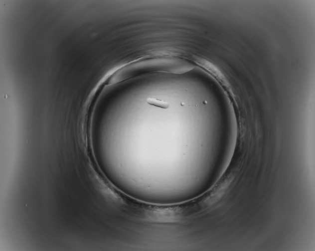 X0000086780843200704201822