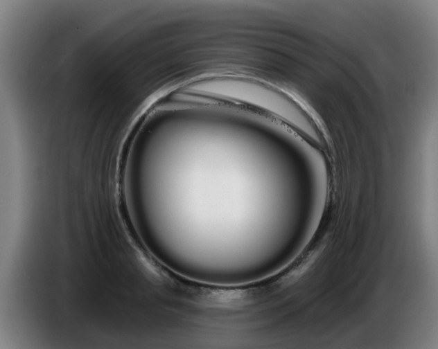 X0000086780845200704201822