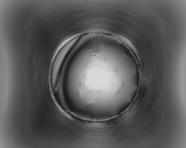 X0000086780847200704201822