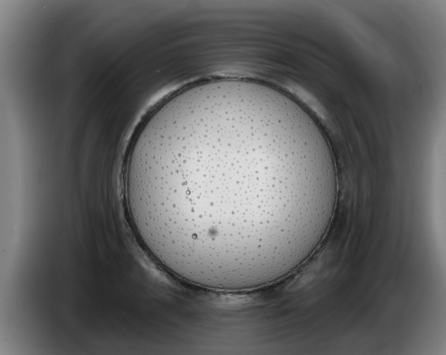 X0000086780848200704201822