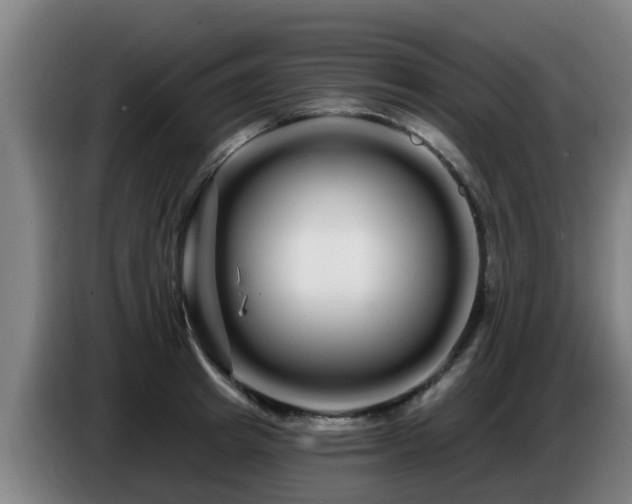 X0000086780849200704201823