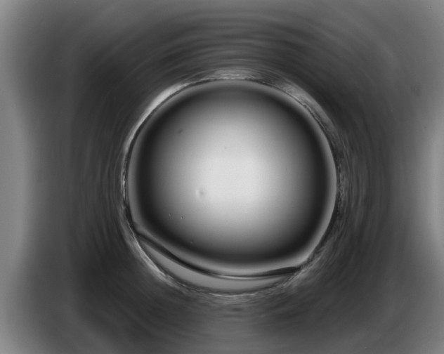 X0000086780852200704201823