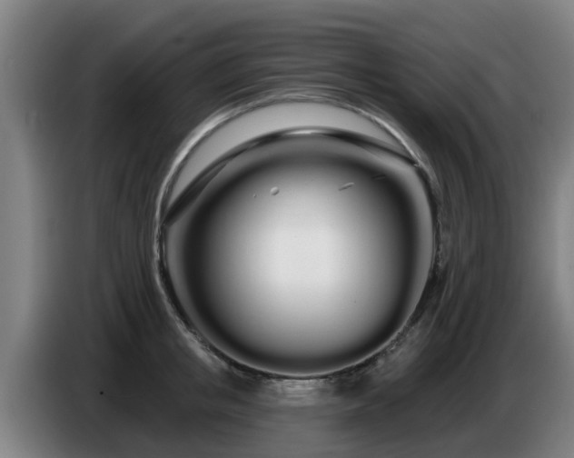 X0000086780853200704201823