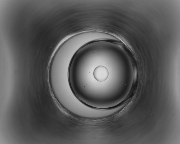 X0000086780854200704201823