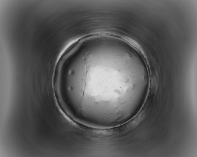 X0000086780855200704201823