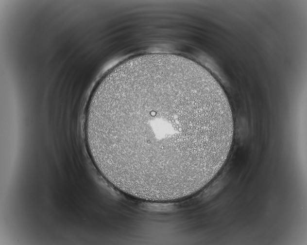 X0000086780856200704201823