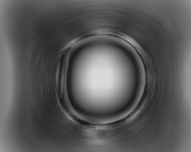 X0000086780857200704201823