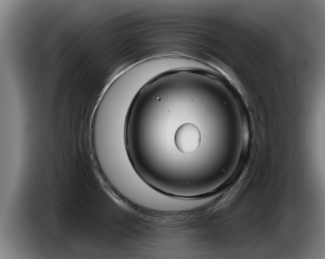 X0000086780858200704201823