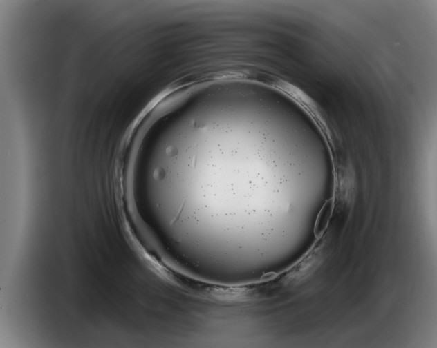 X0000086780859200704201823