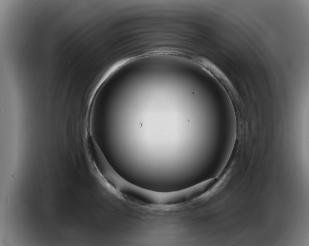 X0000086780860200704201823