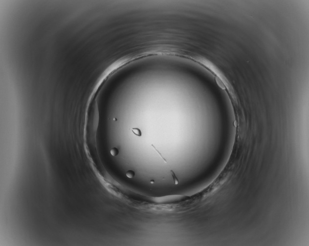 X0000086780861200704201823