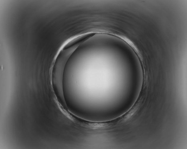 X0000086780862200704201823