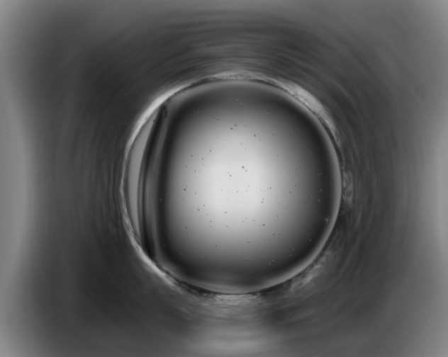 X0000086780863200704201823