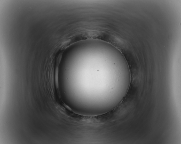 X0000086780866200704201822