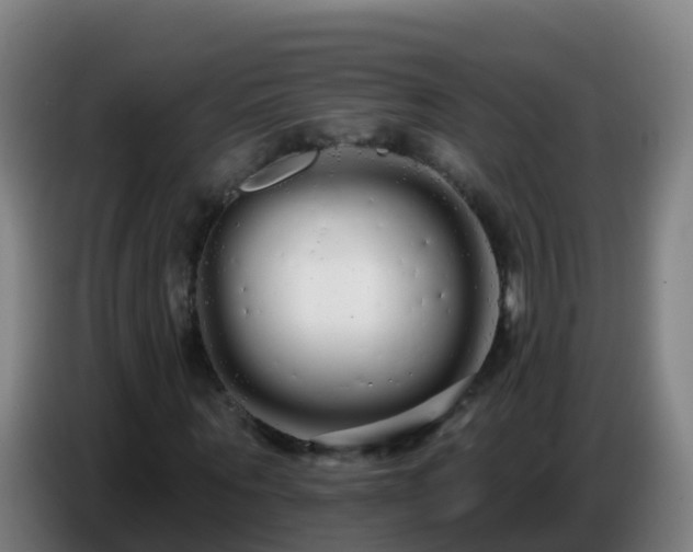 X0000086780867200704201822