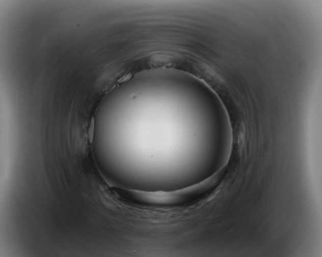 X0000086780868200704201822